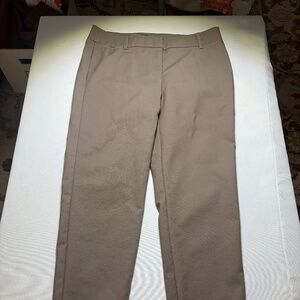 Ellen Tracy Wrinkle Resist Chinos in Taupe Brown size 4